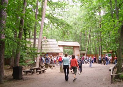 Białowieża Kraina żubra