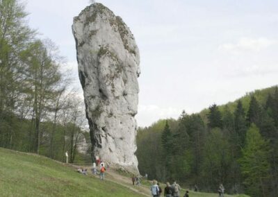 Jura Krakowsko-Częstochowska