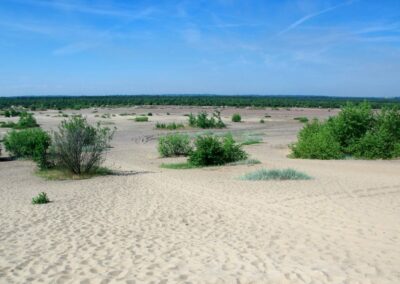 Jura Krakowsko-Częstochowska