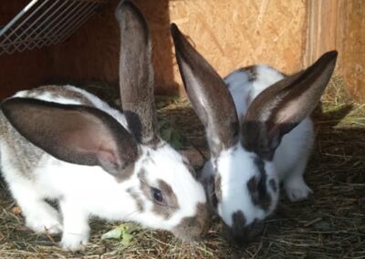 wycieczki dla przedszkoli