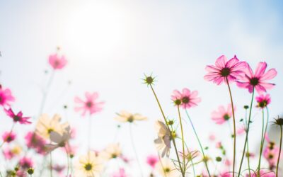 Wiosenne wycieczki przyrodnicze – co warto obserwować z uczniami