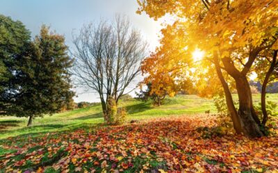 Wycieczki szkolne jesienią – najlepsze destynacje w Polsce