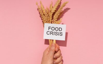 Wycieczki szkolne a dzieci z alergiami pokarmowymi – o czym trzeba pamiętać?