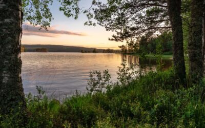 Mazury dla szkół – ośrodki, atrakcje, program na każdą porę roku