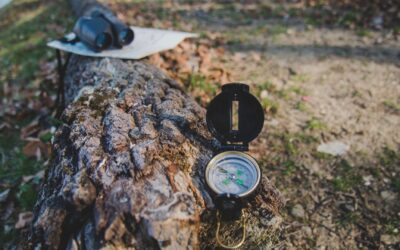 Czy gry terenowe mogą uzupełniać lekcje historii i geografii?