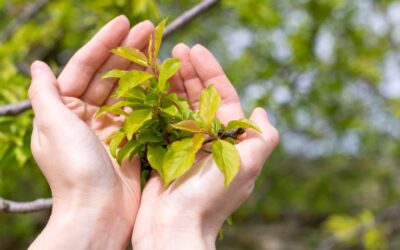 Edukacja ekologiczna na wycieczce szkolnej – pomysły na zajęcia w naturze