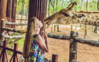 Wycieczka szkolna do zoo – jak zamienić wizytę w lekcję biologii?